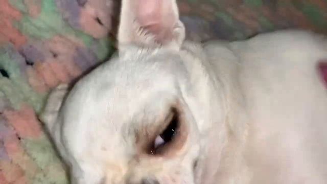 Всем наидобрейшего утречка и замечательного воскресенья. смотреть онлайн