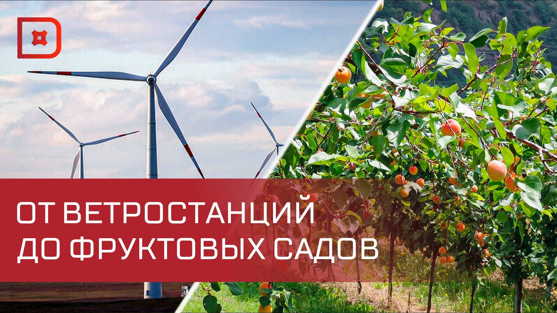 Какие инвестпроекты реализуются сегодня в Дагестане?