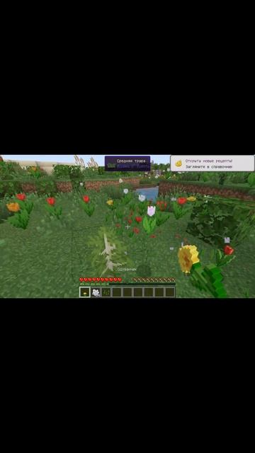 Как вырастить берёзовый саженец #minecraft #minecraftshorts #tutorialmi
