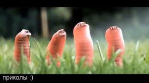 Мультик про червячков)))