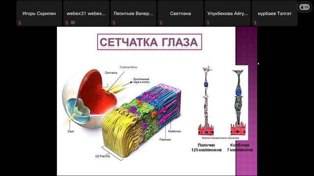 Кисебаев Жанибек Сагатович (05.05.2025г.)