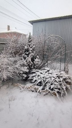 Снегопад в марте (15.03.2025)