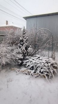 Снегопад в марте (15.03.2025)
