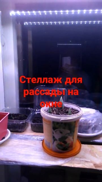 СТЕЛЛАЖ ДЛЯ РАССАДЫ(с фито лампой)