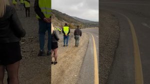 Мажор в Сочи