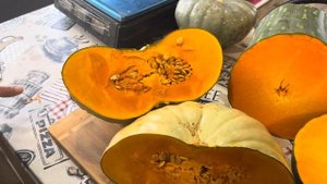 Сорта тыквы в разрезе. Сезон 2024