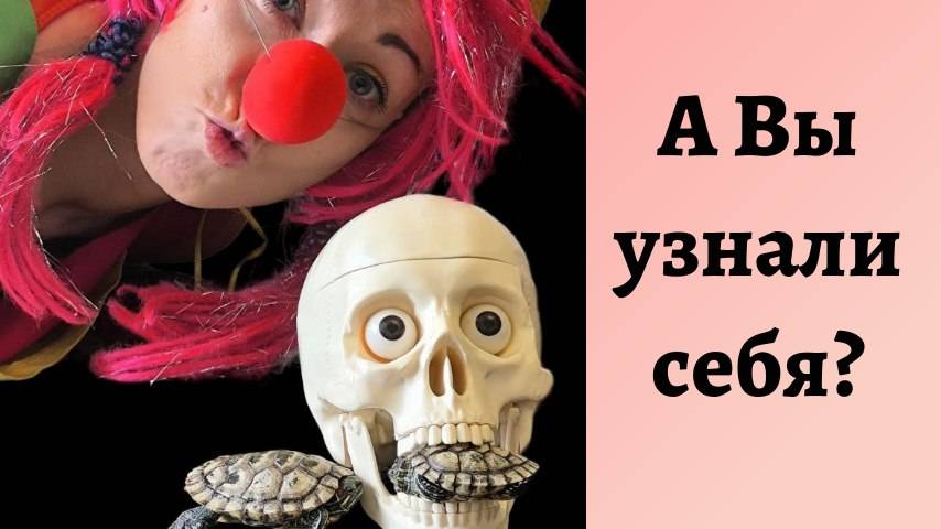 4 типа темперамента
