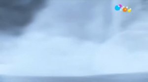 диностер 2 сезон 14 серия