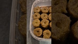 Эустома в ватноминеральных пробках.