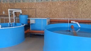 УЗВ ДЛЯ ВЫРАЩИВАНИЯ ФОРЕЛИ