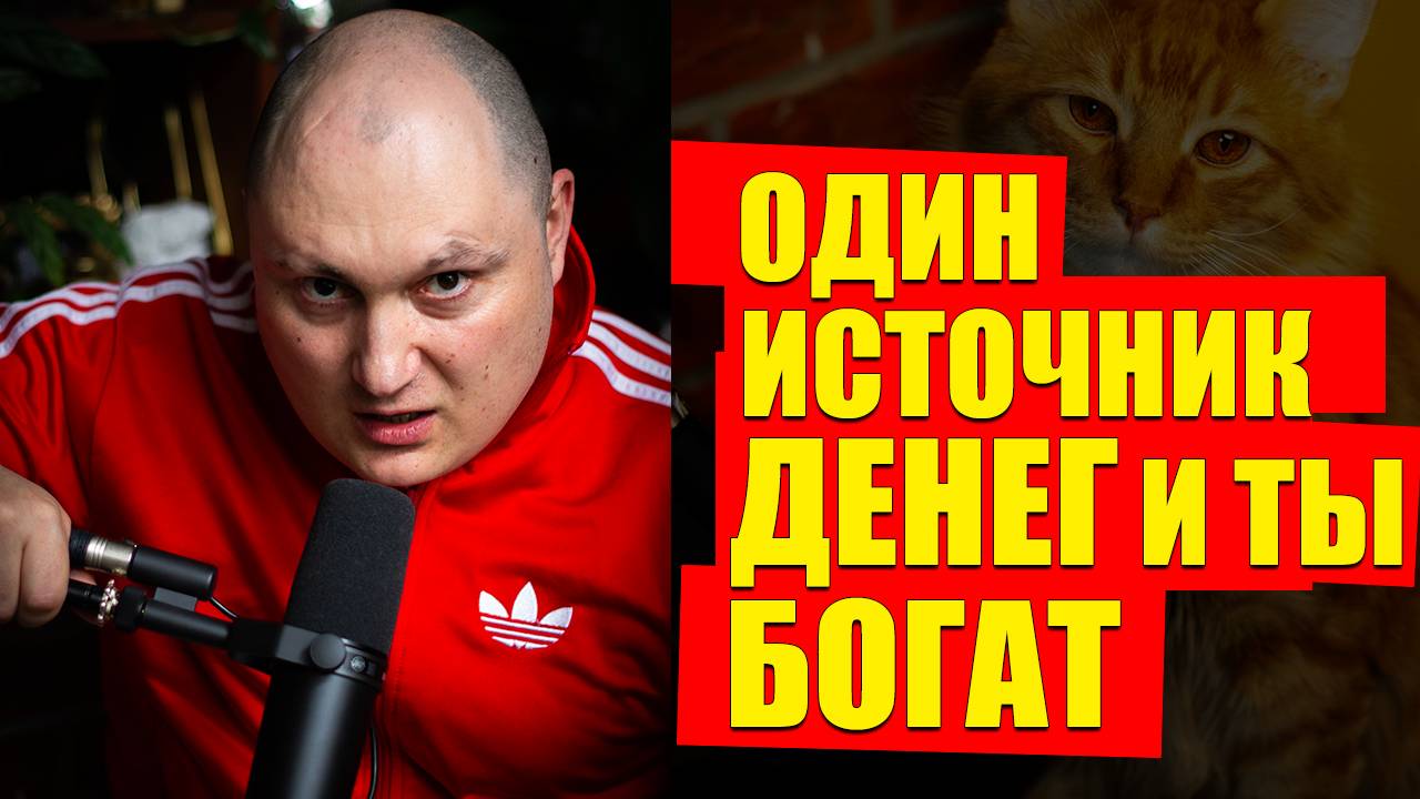 Несколько источников доходов НЕ НАДО, это ложная цель