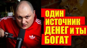Несколько источников доходов НЕ НАДО, это ложная цель