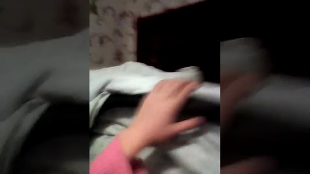 Я и моя комната, , также я защищяю канал Panika! смотреть онлайн