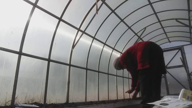 я в огороде сажаю огурцы,дыньки,редиски и.т п