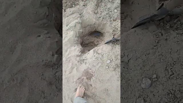 Металлоискатель в деле))) Найдет то, что ни найдут друг смотреть онлайн