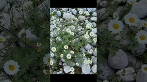 10 января 2023 г.