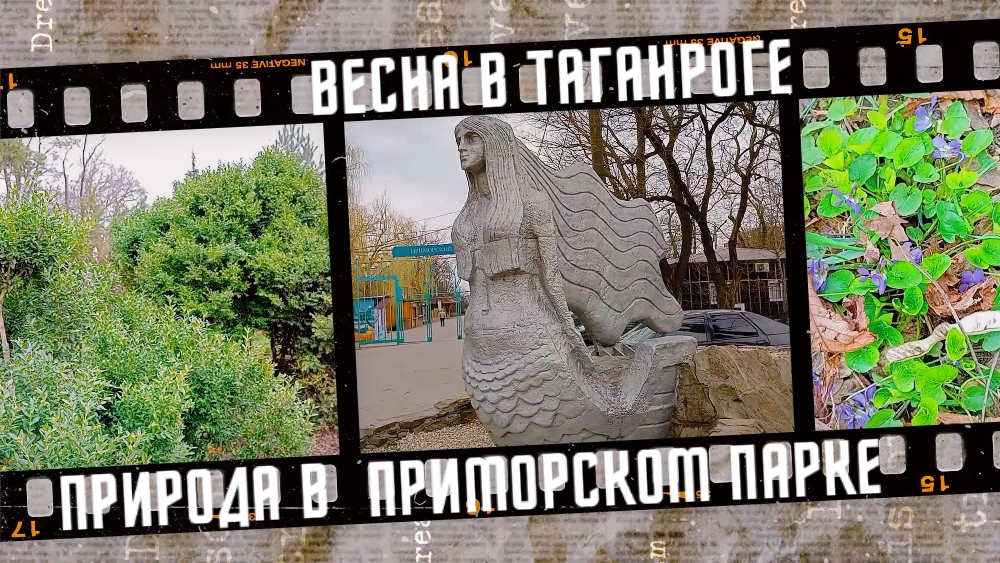 Весна в Таганроге, природа в Приморском парке.