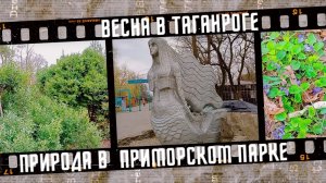 Весна в Таганроге, природа в Приморском парке 2023 г.
