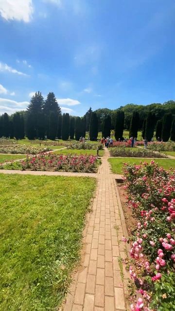 Долина роз, Кисловодск, 23 июня #долинароз #travel #кислово?