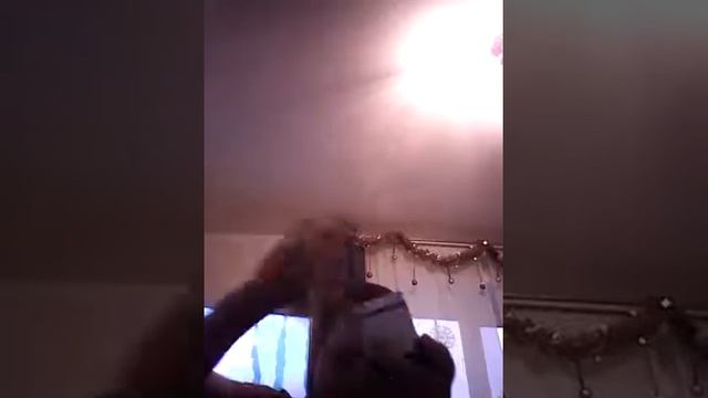 6 января 2017 г. смотреть онлайн