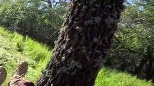 🔴Хряк попал в засаду на Запорожском направлении и благополучно издох🔴