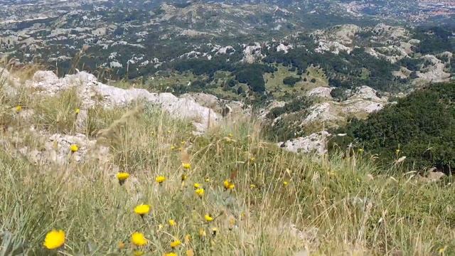 Відпочинок у Чорногорії. Ловчен. Мавзолей Негоша. Етно-село. Которський серпантин. Луштіца