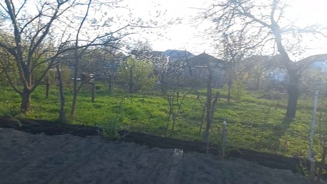 Весна пришла в станицу  Ессентукская.  Красота. Цветут