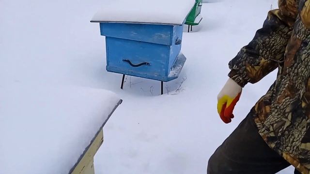 Облегчение зимовки пчёл. смотреть онлайн