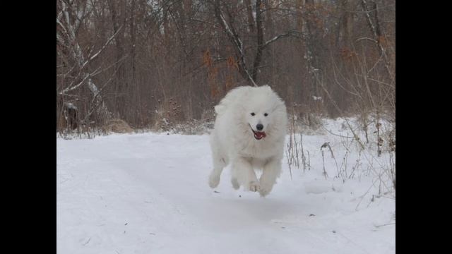 АЙША И ЗИМА КРАСАВИЦАПО СНЕГУ И ПО РЕЧКЕ