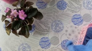 Триостарты мая, 1 старт