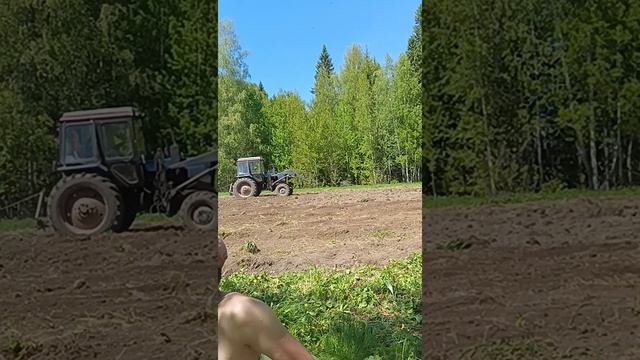 Посадка зерновых для медведя и горох для кабана смотреть онлайн