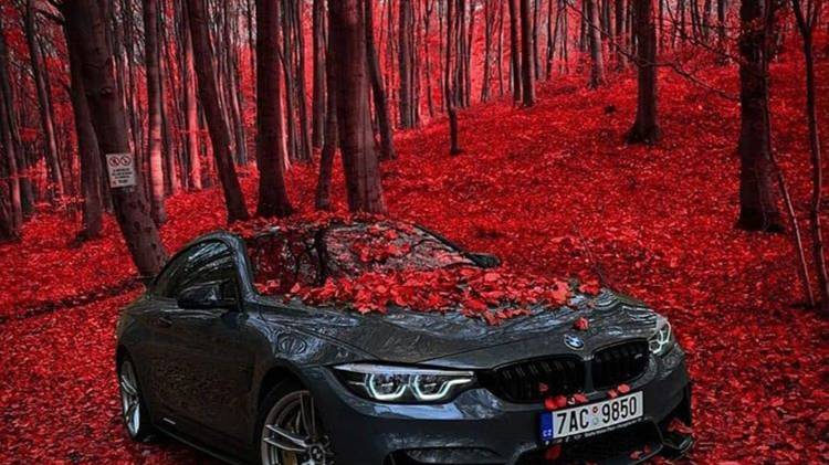 Теория ПДД : Урок 29 - Перевозка грузов.