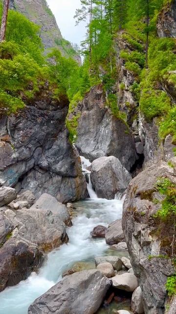 #аршан смотреть онлайн