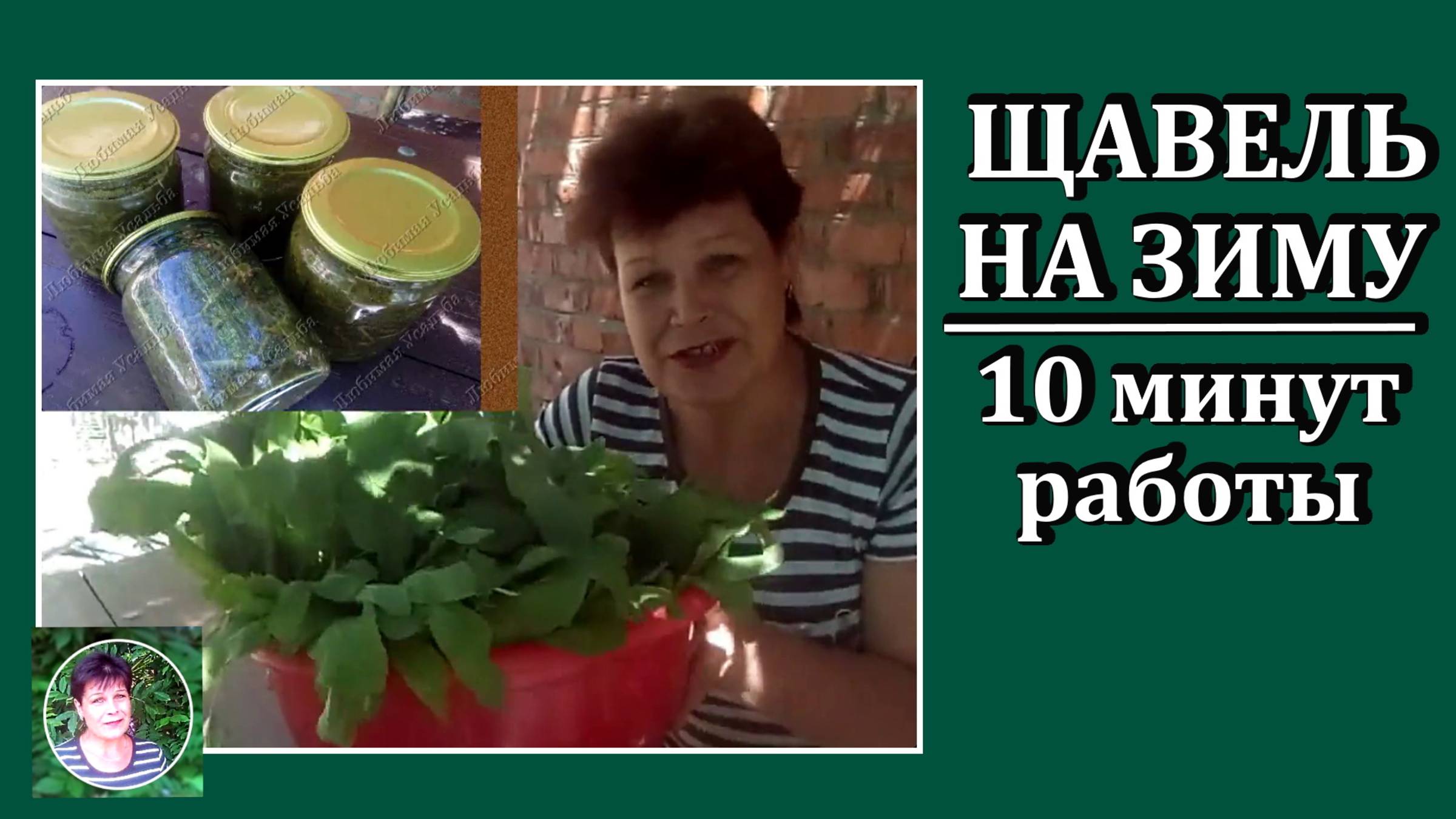 Щавель на зиму.  Как заготовить щавель на зиму в банки за 10 минут.