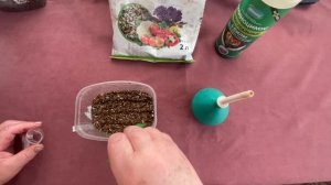 🏡 Vlog из светёлки. Посев томатов в вермикулит. Дополни?