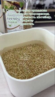 Как прорастить зеленую гречку? Часть 2. #топ #продукты #?