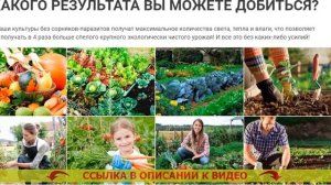 💯 СРЕДСТВО ДЛЯ УДАЛЕНИЯ СОРНЯКОВ ❌ МАТЕРИАЛ ЧТОБЫ НЕ