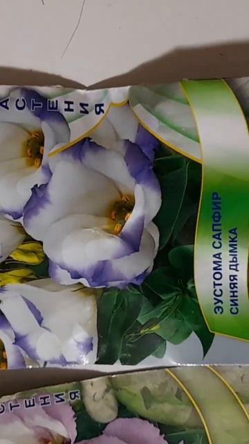 13 января. Якутск -47. Посев на рассаду эустома! смотреть онлайн