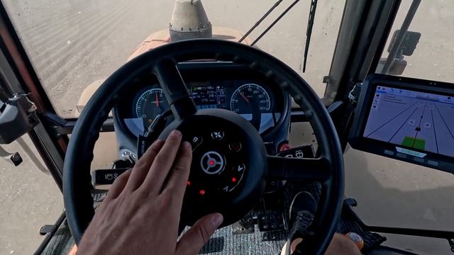 Посев рапса 2024