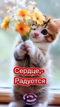 Доброе утро. Добрый вечер. ВидеоОткрытки на Каждый день