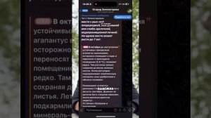 Как использовать скорлупу яиц с пользой #дача #урожай #
