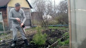 Выселение самовольного заселенца.