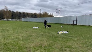 РО2 Ирина  Родичкина и Ганс Кубок Панды 2025