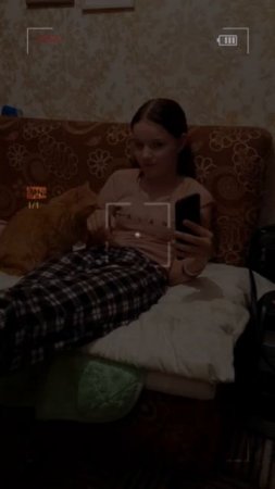 киса