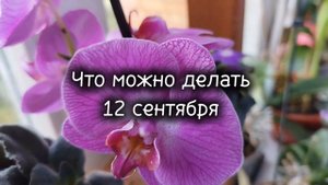 12 сентября 2024, Александр Сытник, народный календарь, ц?