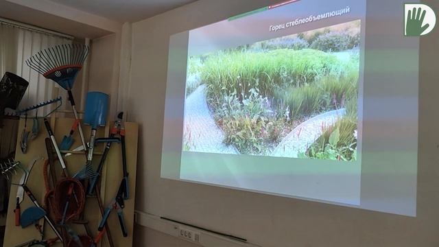 Видео-визитка "ЦВЕТУЩАЯ ПЛАНЕТА". Наталья ЦЕЛИЩЕВА