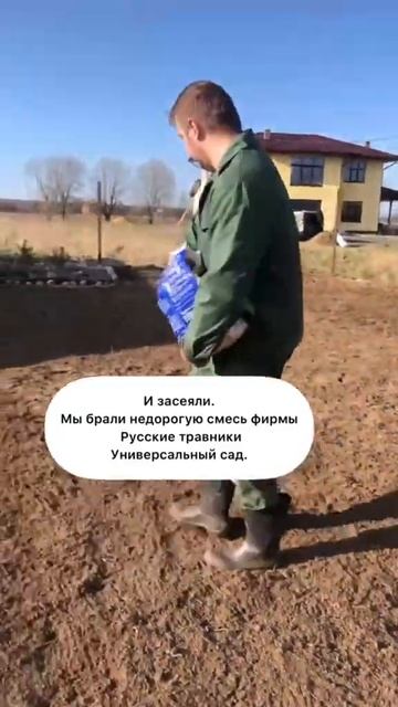 Газон / Подсолнухи / Загородная жизнь / Ландшафтный диз