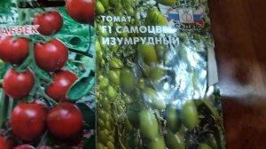 Афрочерри, Вишня в шоколаде, Черный шоколад и мелкопло