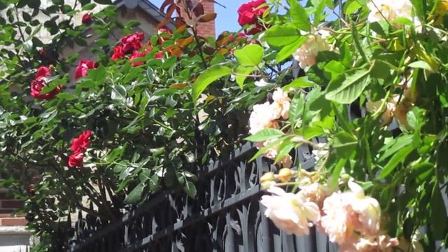 ФРАНЦИЯ - КАК Я ЗДЕСЬ ОКАЗАЛАСЬ.