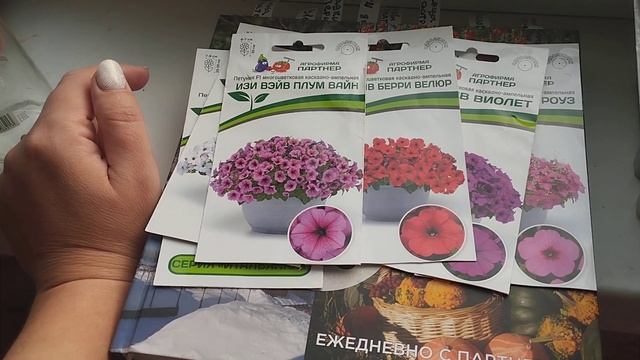 Посадка  петуньи 🌱